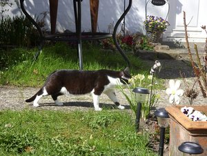 SDC13399.jpg SDC13399.jpg