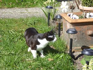 SDC13400.jpg SDC13400.jpg