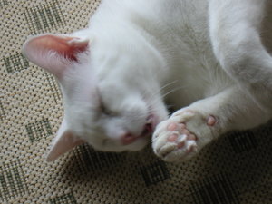 Urlaub April  2011 405.jpg