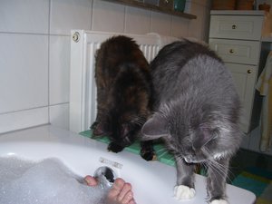 tinkikonfetti 004.jpg