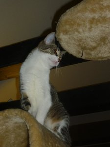 Besuch beim Quartett 058.jpg