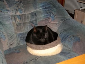 7-mein eigenes Bettchen.jpg