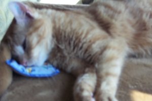 Bilder Birgit 528.jpg