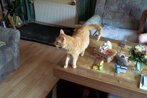 Bilder Birgit 518.jpg