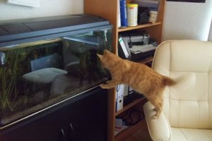 Bilder Birgit 516.jpg