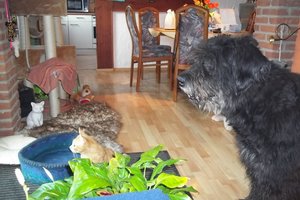 Bilder Birgit 541.jpg