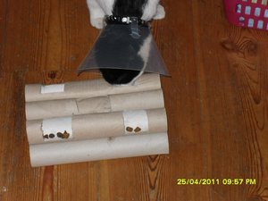 Mütze mit Mütze 002 [800x600].jpg