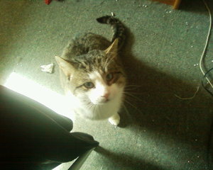 Kopie von Foto-0008.jpg