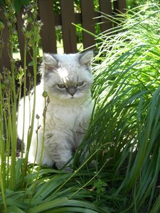 Murphy 13.09.2010 025.jpg