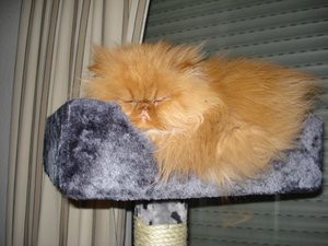 Urlaub in Thailand 559.jpg