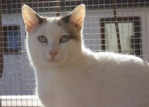 lea_gesicht, 2010 donauwörth.jpg