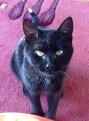 claudiina_05-2010 Hannover.jpg