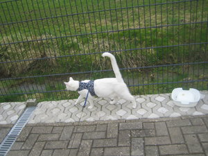 Urlaub 2011 im April 077.jpg