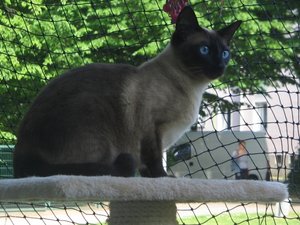 Kopie (2) von IMG_6047.JPG