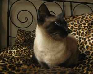 Kopie von IMG_6040.JPG