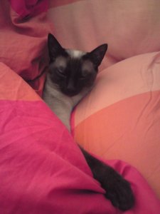 Kopie von DSC01358.JPG