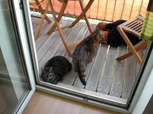 Diddl und Stromer.jpg