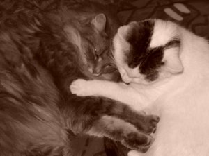 Wir haben uns lieb.JPG