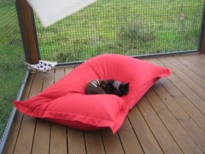 Papaöhrchenzimmer 018.jpg