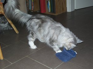 Azula und Chico 24.05 043.JPG