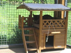 Sonnenschein wird genossen 012.jpg