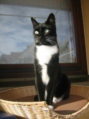 betty Augsburg 2009.jpg