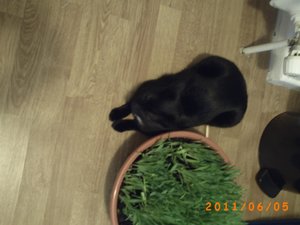 Akira & Samira 0048.jpg