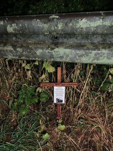 Momos Unfallstelle.jpg