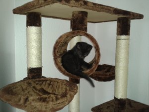 2011-06-08 12.55.03.jpg