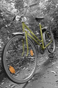 IMG_6206 - Kopie.jpg