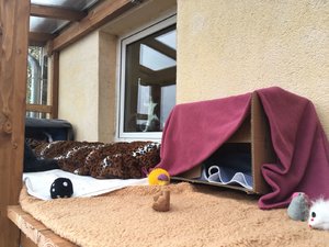 IMG-20181018-WA0000.jpg IMG-20181018-WA0000.jpg