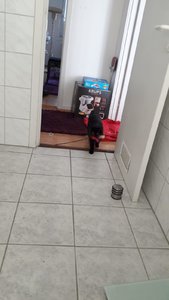 WhatsApp Image 2018-10-28 at 10.47.32.jpeg