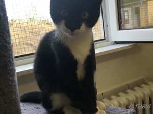 600_THJ-20180926-00.jpg 600_THJ-20180926-00.jpg