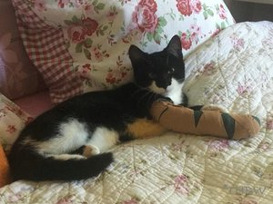 600_THJ-20180929-01.jpg 600_THJ-20180929-01.jpg