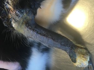 600_THJ-20180929-03.jpg 600_THJ-20180929-03.jpg