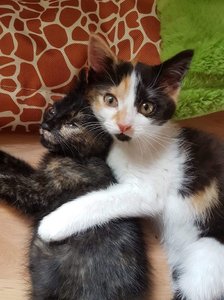 Suessigkeiten.jpg Suessigkeiten.jpg