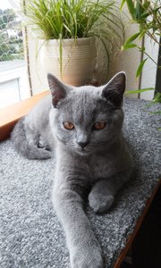 IMG-20170716-WA0004.jpeg IMG-20170716-WA0004.jpeg