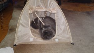 2011-06-02 15-49-08.JPG