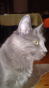 2011-06-02 15-49-37.JPG