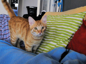 spielen03.jpg spielen03.jpg