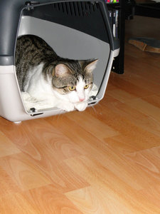 kennel01.jpg kennel01.jpg