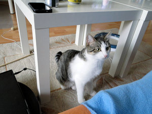 spielen04.jpg spielen04.jpg