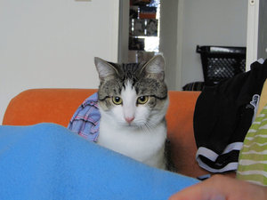 spielen05.jpg spielen05.jpg