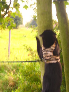 Ausgang 12.09.2008 056.jpg