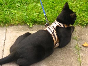 Ausgang 12.09.2008 068.jpg