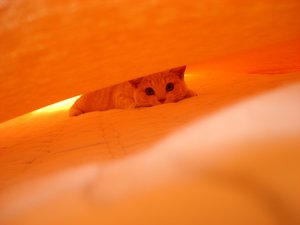 betten beziehen 004.jpg