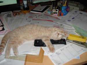 maxbeimschlafen 001.jpg