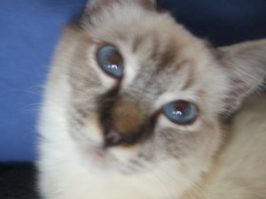 077 - Kopie.jpg 077 - Kopie.jpg