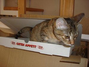 DSC08879 (Groß).JPG