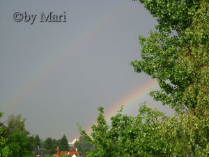 Regenbogen3.jpg